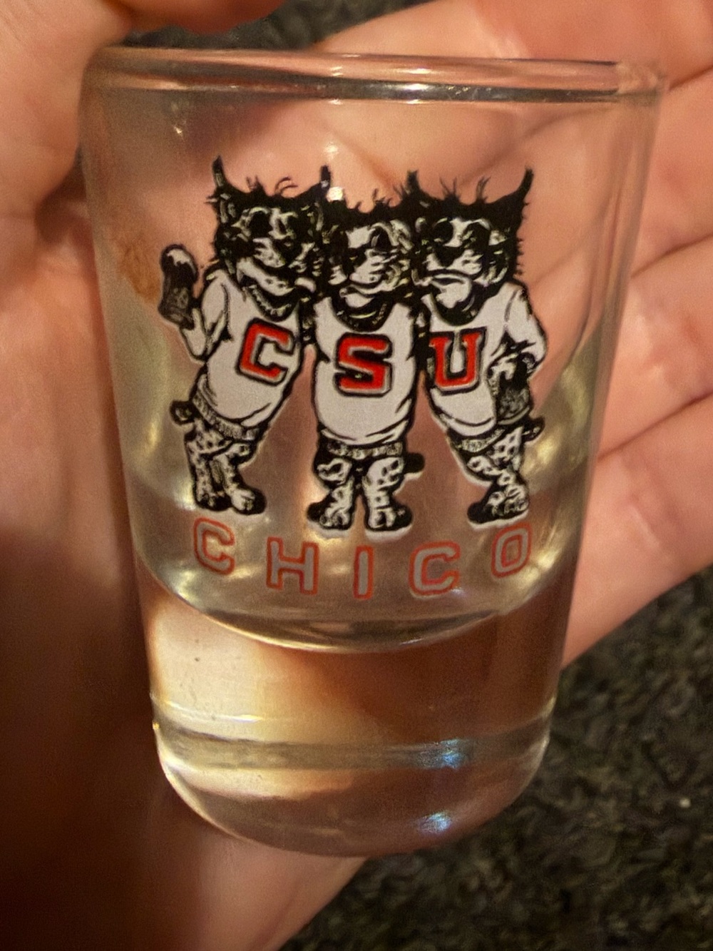 CSU Chico California state university shot glass